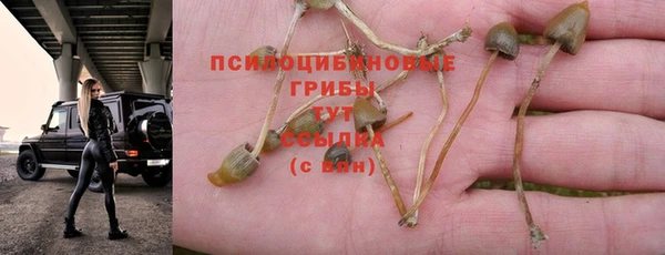 марки nbome Медвежьегорск