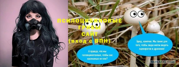 прущие грибы Костерёво