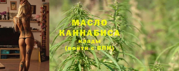 apvp Медногорск
