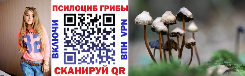 Псилоцибиновые грибы Psilocybine cubensis  Черняховск 