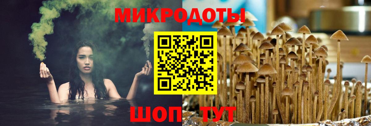 Галлюциногенные грибы GOLDEN TEACHER  закладки  Черняховск 