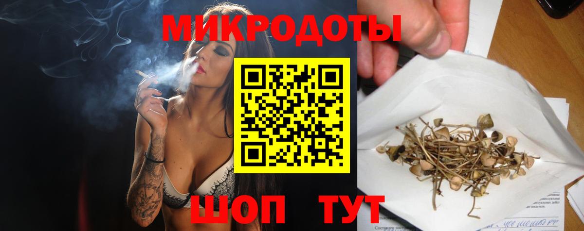 Черняховск  Псилоцибиновые грибы Cubensis  Вход с VPN  Галлюциногенные грибы мицелий 